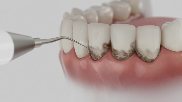 Reliable Dental contractor in Annapolis Neck, MD by Dentist Open Now